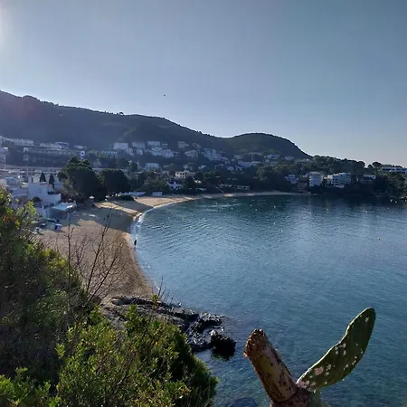 Sejour Paisible En Front De Mer, Terrasse & Acces Almadrava Apartment